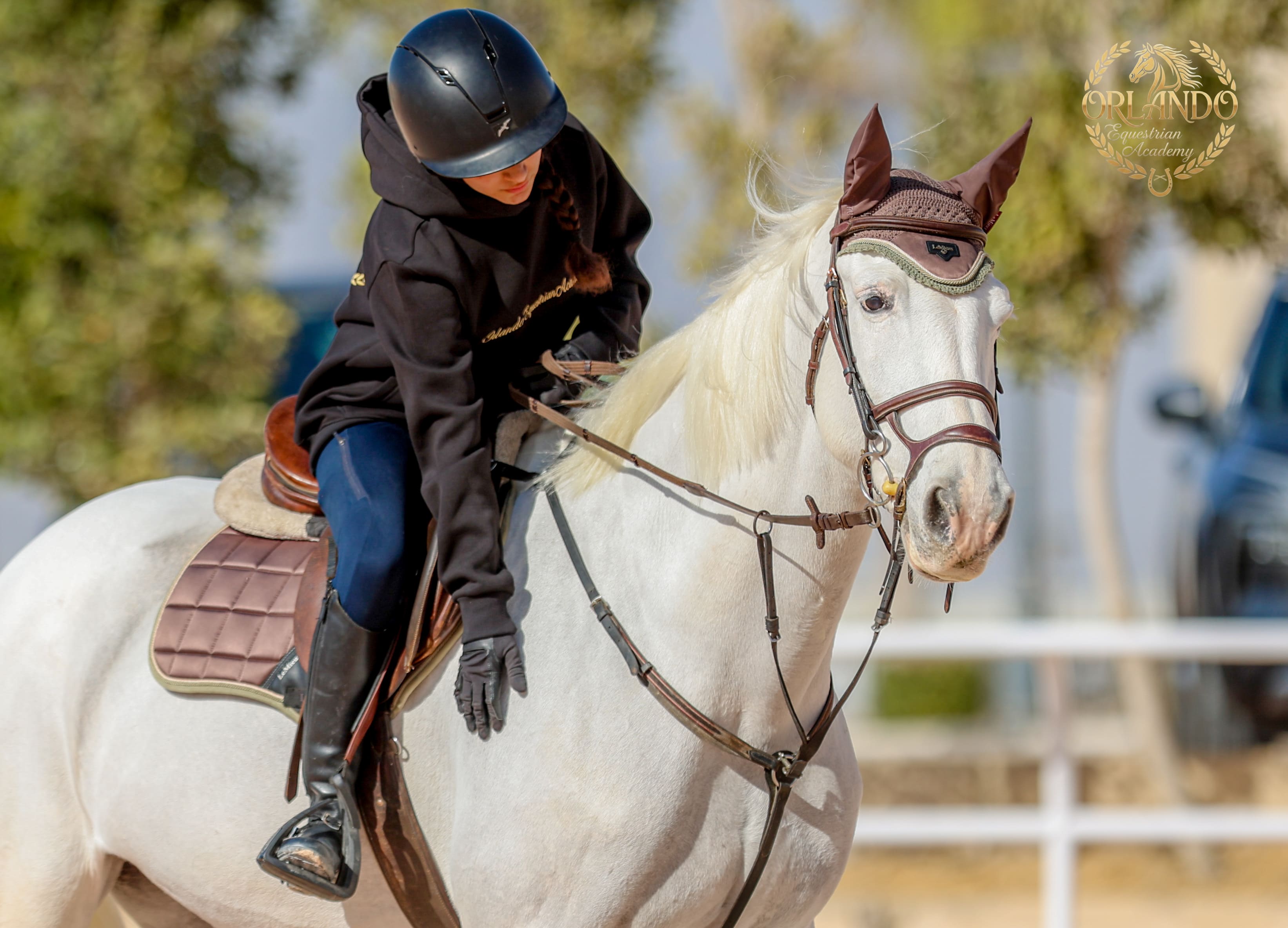 Dressage rider