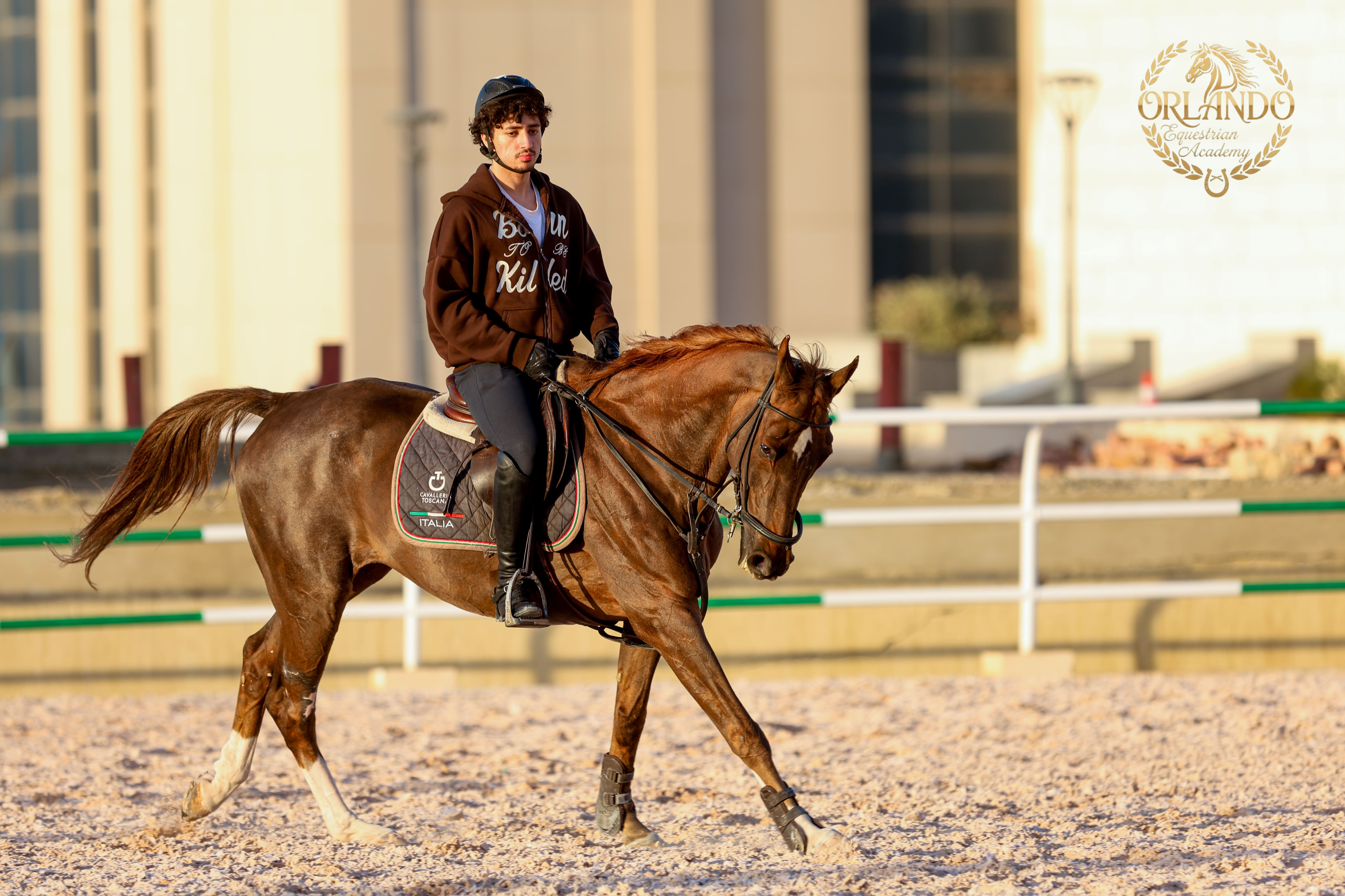 Equestrian training