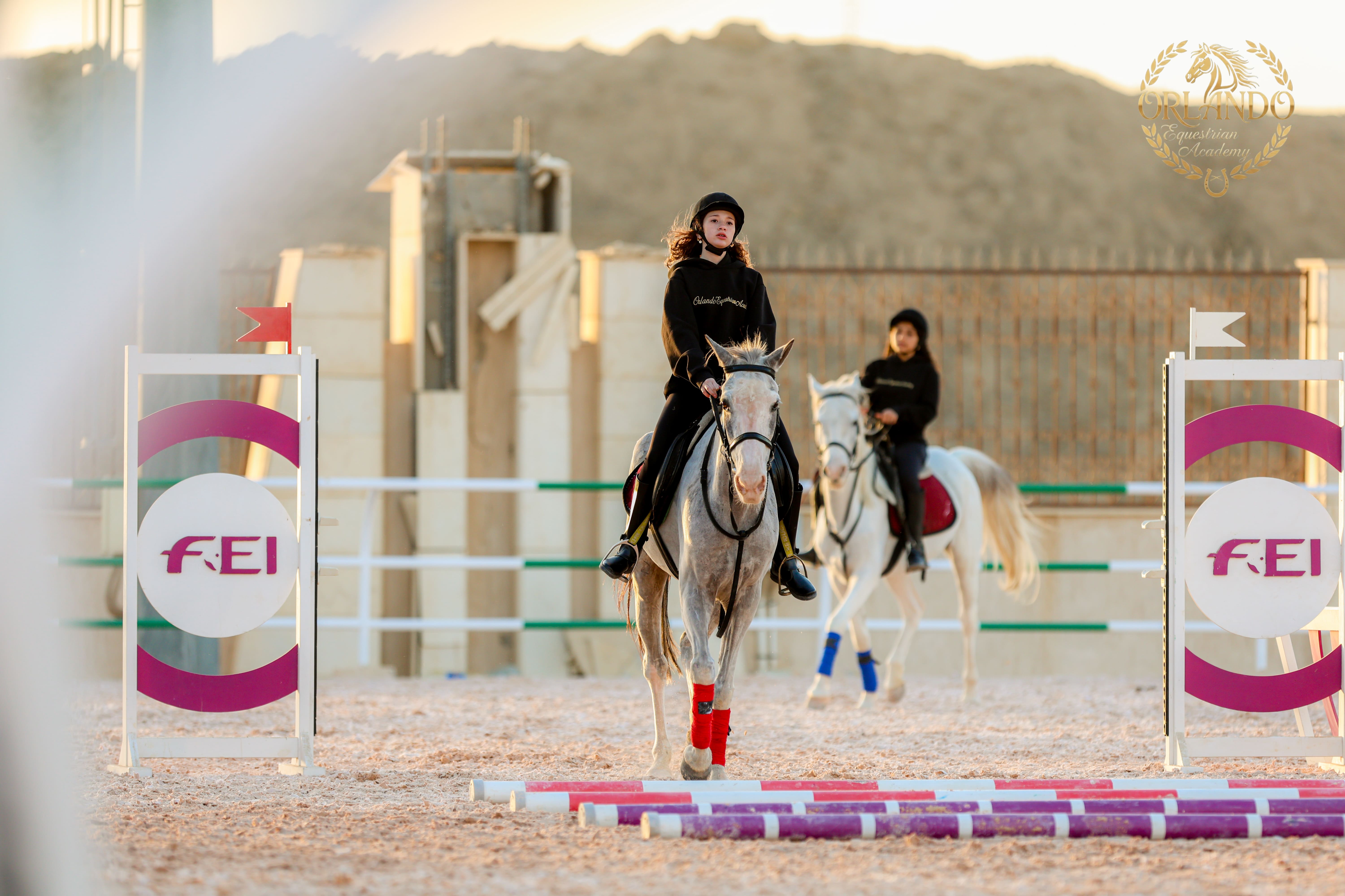 Training Clinic